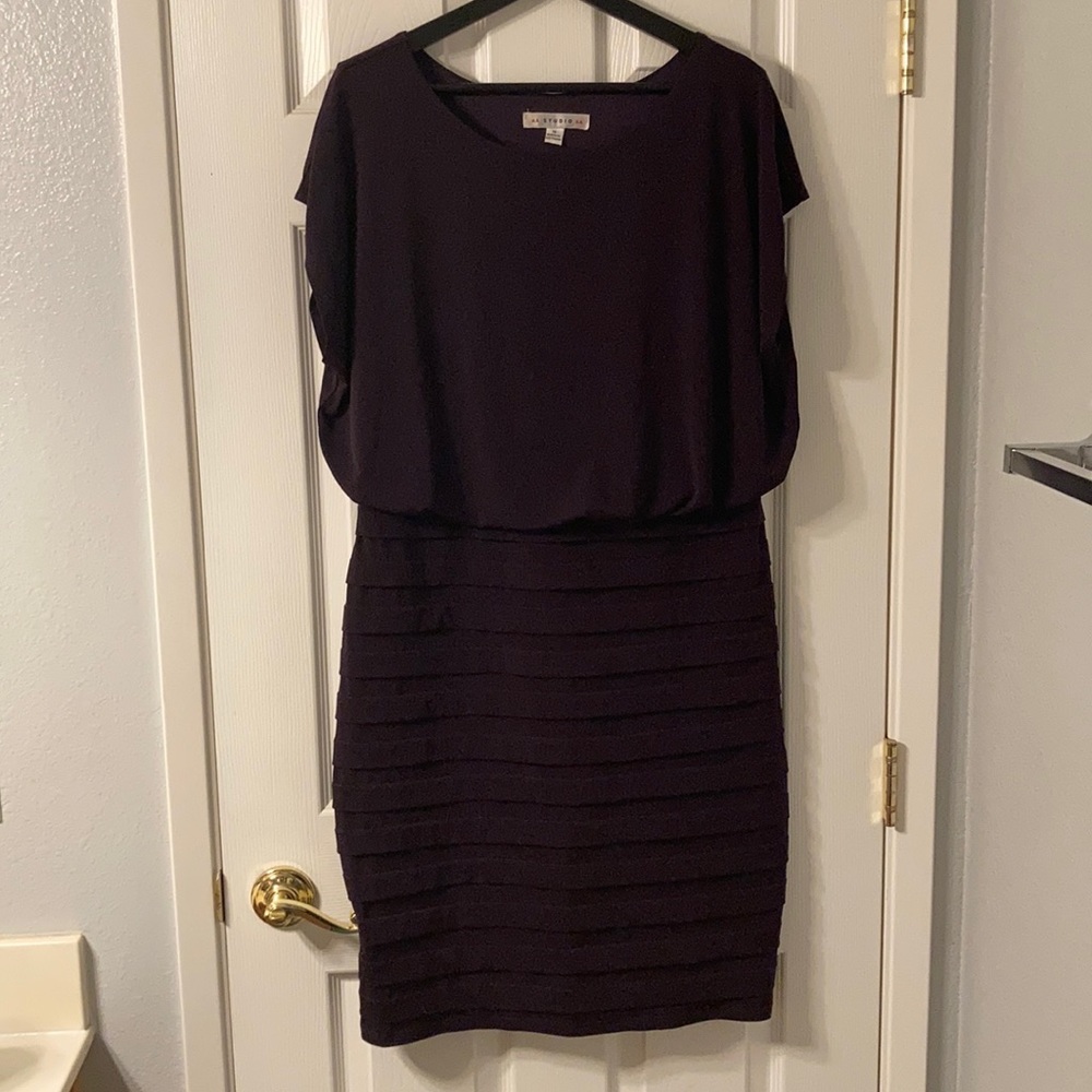 Purple Dress with Bloused Waist and Layered Skirt
